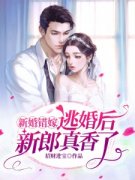 已完结小说《豪门闪婚：惹上霸道