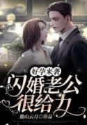 好孕来袭：闪婚老公很给力小说，