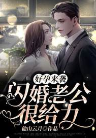 好孕来袭：闪婚老公很给力小说，好孕来袭：闪婚老公很给力宋昭昭江靖尧