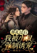 小说《葬礼过后，我被小叔强制诱