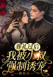 葬礼过后，我被小叔强制诱宠程婴盛闻安小说在线全文免费阅读